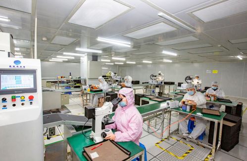 奋进在春光里 电子信息产业满园春色，信息技术咨询服务赋能向海图强